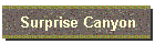 Surprise Canyon