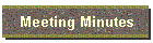 Meeting Minutes