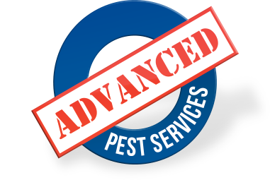 Advanced Pest Services